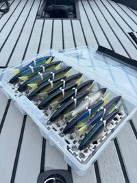 SlotTech Glide Bait Storage Grid