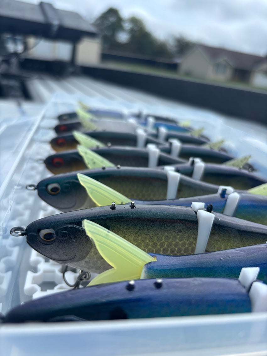 SlotTech Glide Bait Storage Grid
