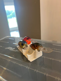Crankbait Slottech for Plano stowaway