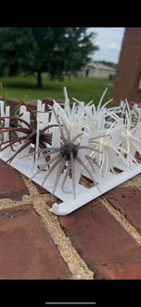Urchin Insert