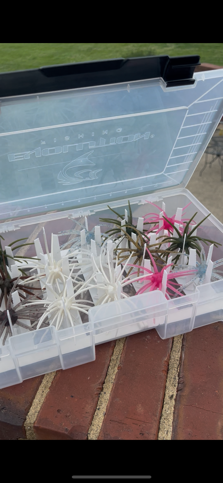 Urchin Insert